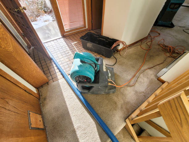 Trusted Water Damage Restoration in Mays Chapel, MD | Fast, Reliable, and Ready to Assist You